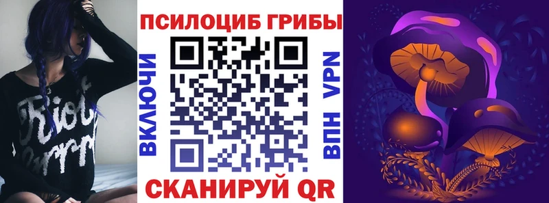 Псилоцибиновые грибы Cubensis  hydra как войти  Болотное 